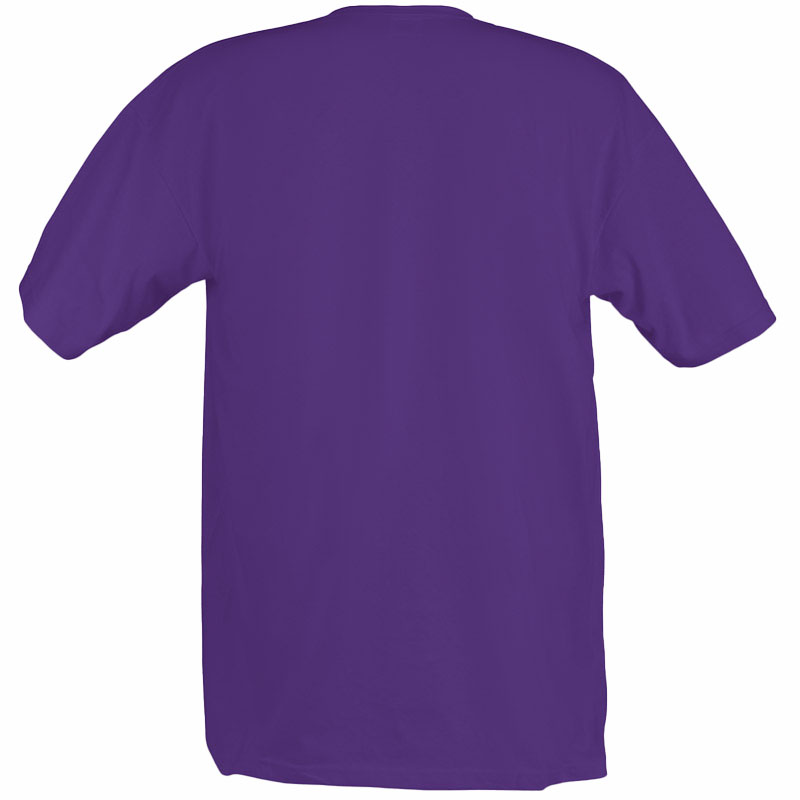 Camiseta Clásica Hombre Despedida Soltero Trasero